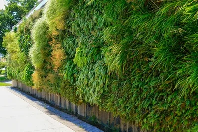 Green Infrastructure