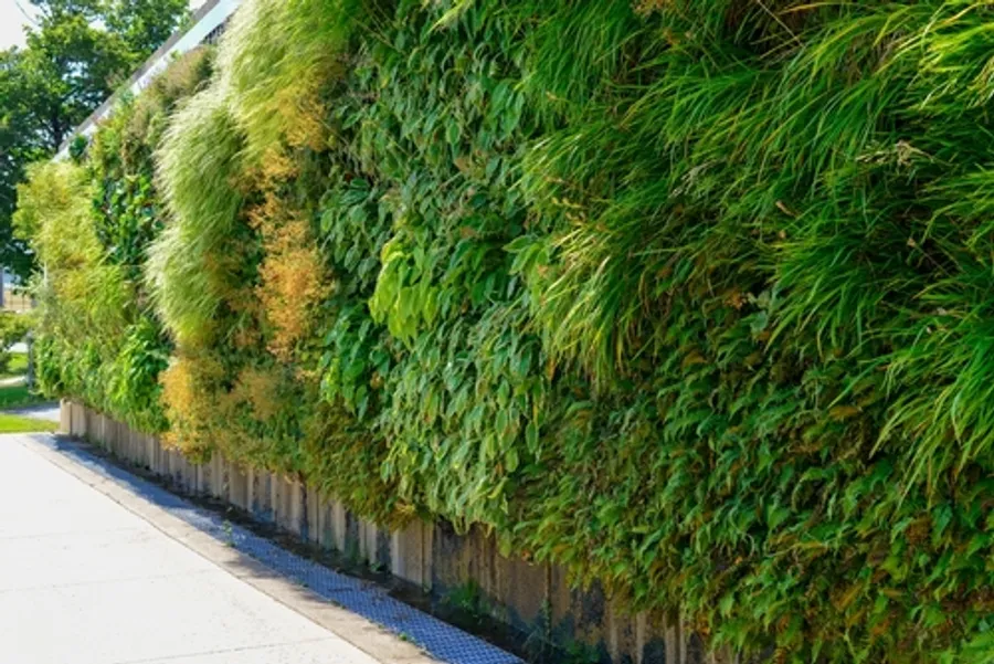 Green Infrastructure