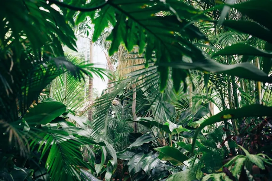 Commercial Interiorscaping