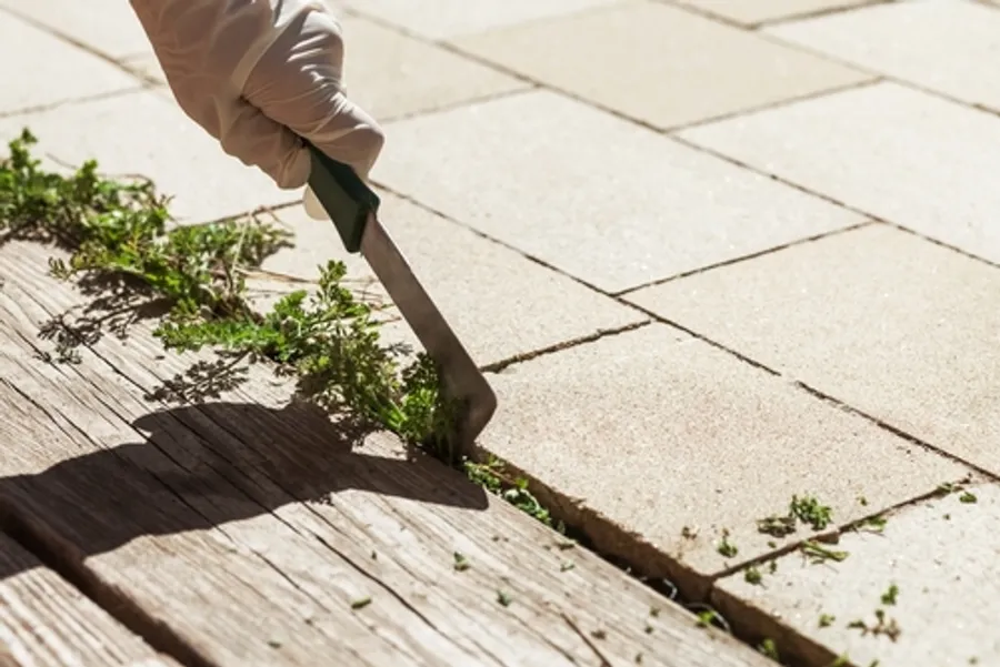 Property Maintenance